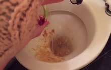 Nasty bitch vomiting in the toilet